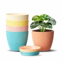Solimo Indoor and Outdoor Round 5 Inch/12.9cm Flower Planter Pot Best for Terrac...