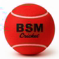 BSM Soft Light Weight Turf Gully Cricket Ground High Bounce Tennis Ball Cricket ...