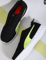 Puma loot