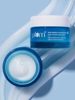 Buy Plum Rice Water & Niacinamide Clear Moisturizer Gel Cream 50 G - Day Cream f...
