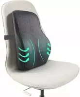 Sleepsia Lumbar Support Memory Foam Orthopedic Back Cushion