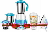 Havok 750 W Mixer Grinder (1100 W Dry Iron Combo | 4 Jars | Blue )