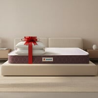 Sleepwell Orthopedic, Anti Microbial, Medium Firm Support with 2 Huggs Classic P...
