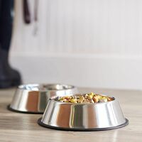Pets Empire Anti-Skid Dog Food Bowl (2500 ml - Pack of 2) | Stainless Steel Dog ...
