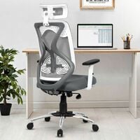 Da URBAN® Merlion Office Chair,High Back Mesh Ergonomic Home Office Desk Chair ...