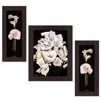 Wens 'Queens Sanctuary' Wall Art (MDF, 30 cm x 34 cm x 1.5 cm, WSP-4207)...